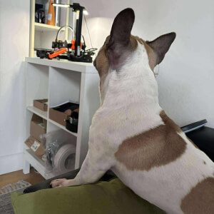 Frank – psí kontrolor kvality 3D tisku